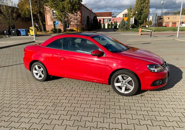 Volkswagen Eos cena 41999 przebieg: 182000, rok produkcji 2012 z Stalowa Wola małe 254